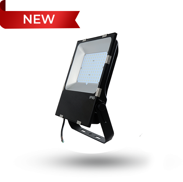 Evo FL Flood Light 150W